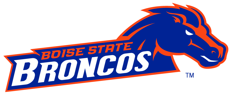 Boise State Broncos 2002-2012 Secondary Logo v28 t shirts iron on transfers